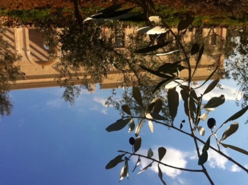 อกรีตูริสโม มาสเซเรีย ซาน เลโอนาร์โด โฮเต็ล Villa Savelletri ภายนอก รูปภาพ